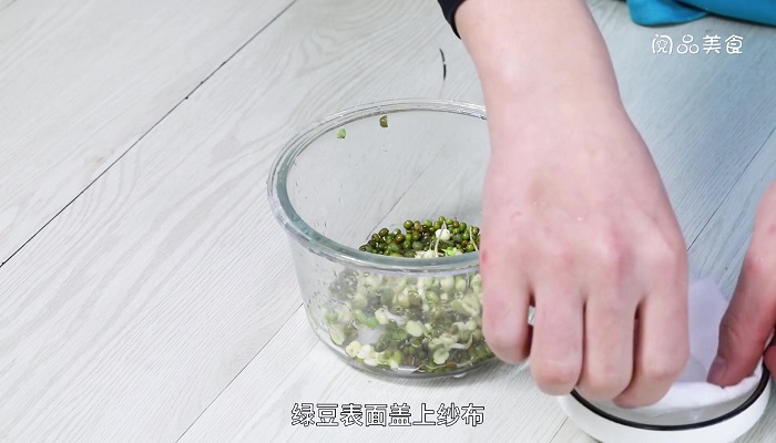 怎么发绿豆芽做法步骤：4