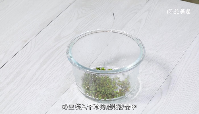 怎么发绿豆芽做法步骤：2